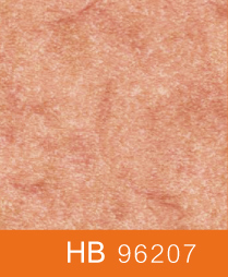 布莱顿<96207>